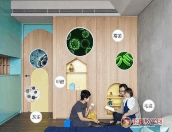 除甲醛公司加盟